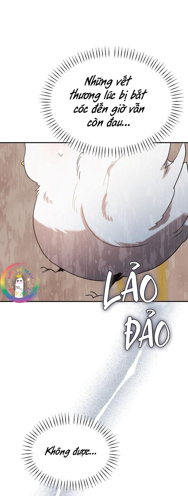 Đọc truyện (END) Này, Đừng Có Nhấn Cái Nút Đó! - Chapter 63