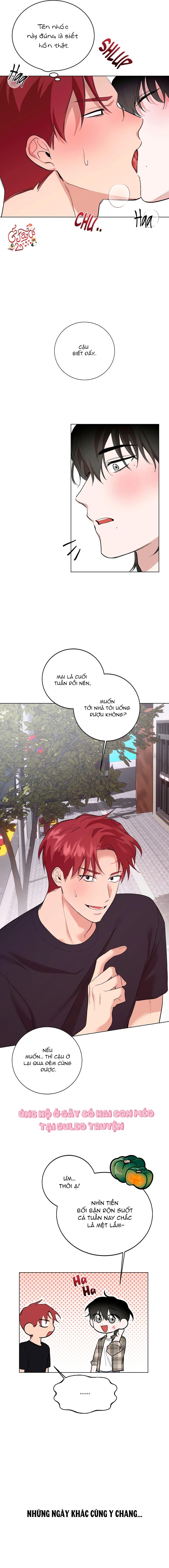 Đọc truyện Sự Hiểu Lầm - Chapter 2
