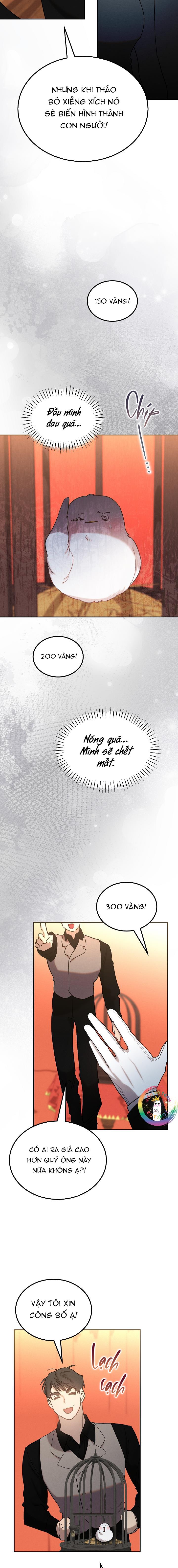 Đọc truyện Này, Đừng Có Nhấn Cái Nút Đó! - Chapter 62