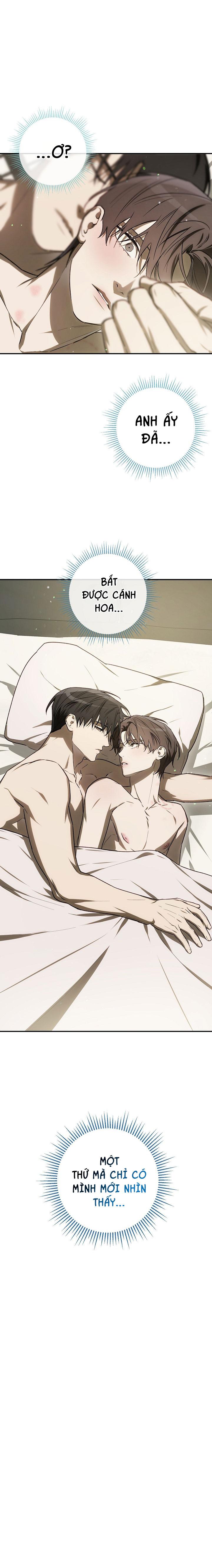 Đọc truyện BẢO VẬT - Chapter 33