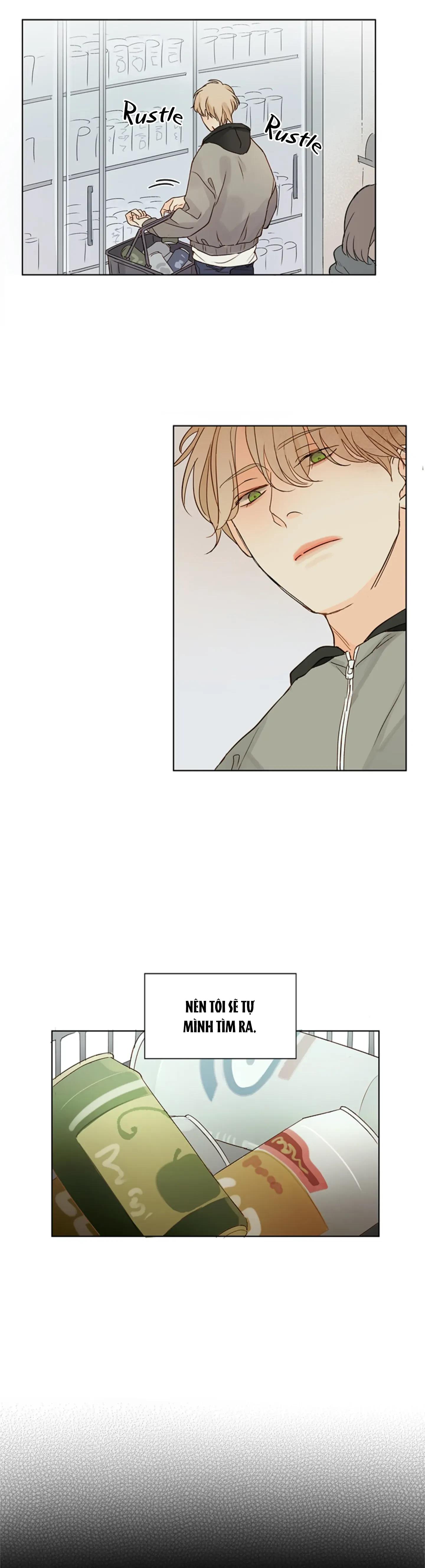 Ý Nghĩa Đằng Sau Ánh Mắt -  - Trang 3