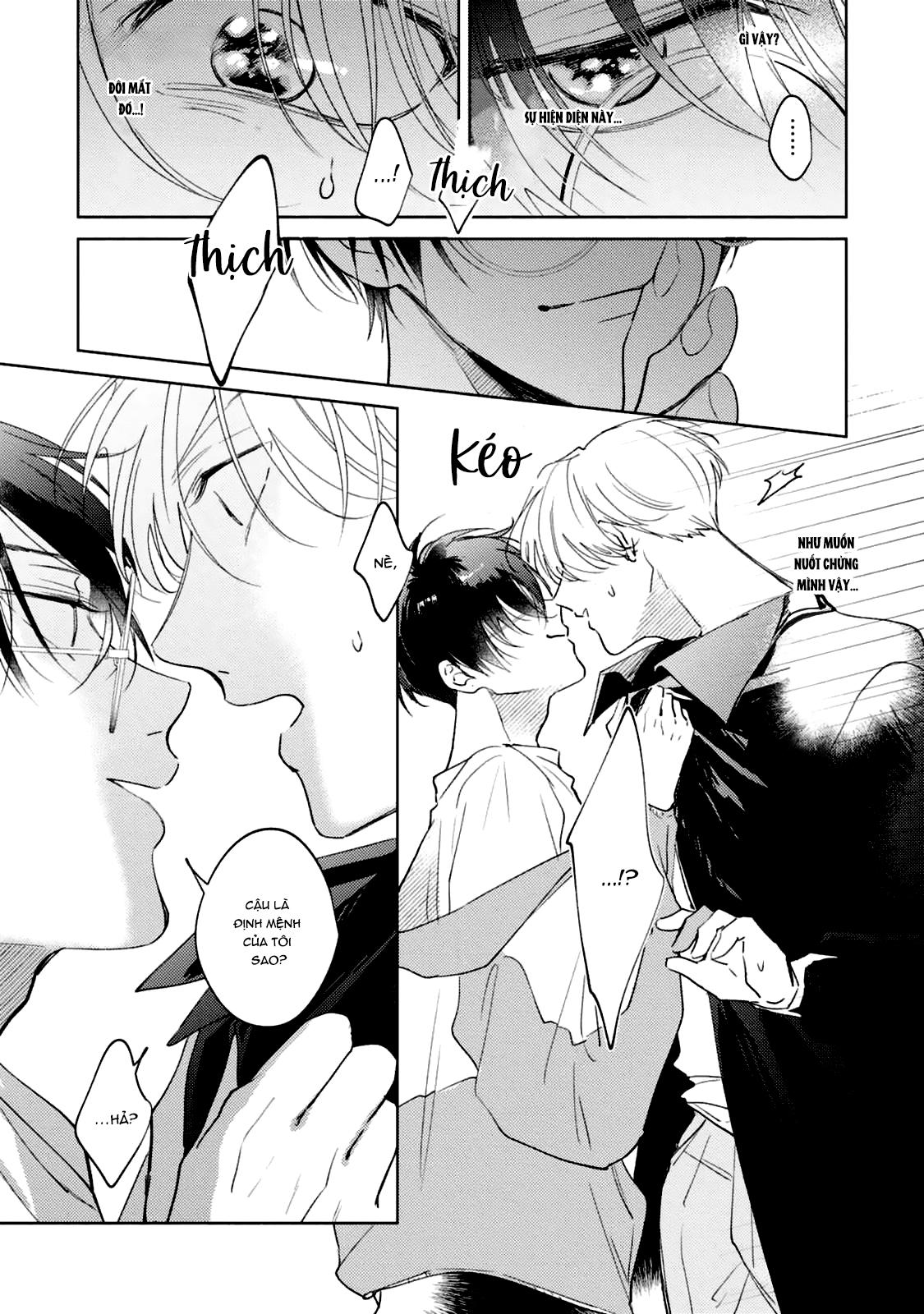 Đọc truyện Bạn Đời Của Tôi Là Một Omega Thuần - Chapter 1