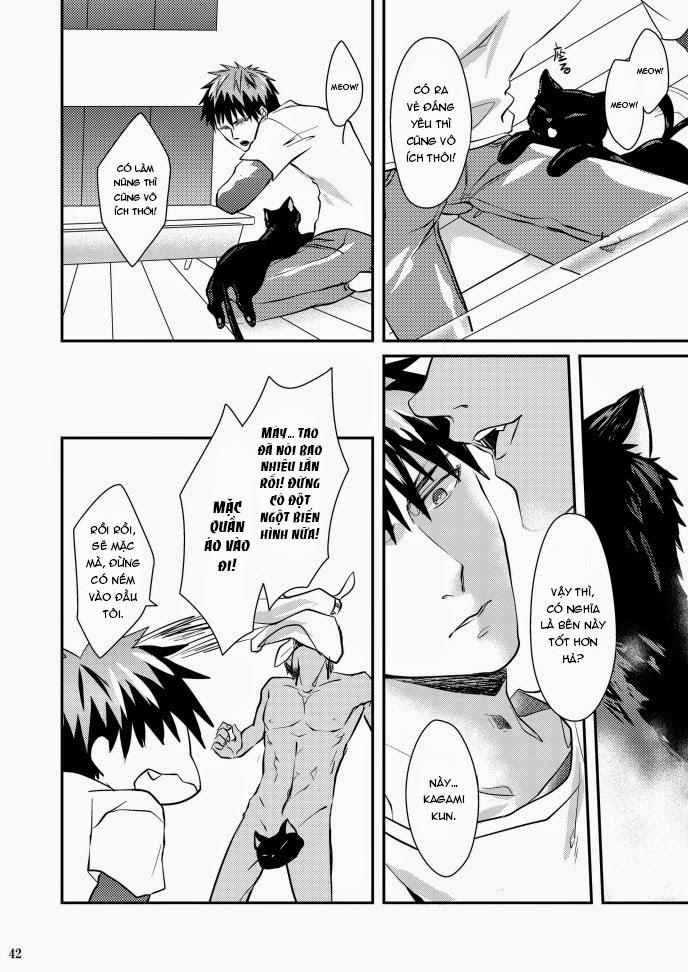 Đọc truyện Oneshot hỏny - Chapter 423