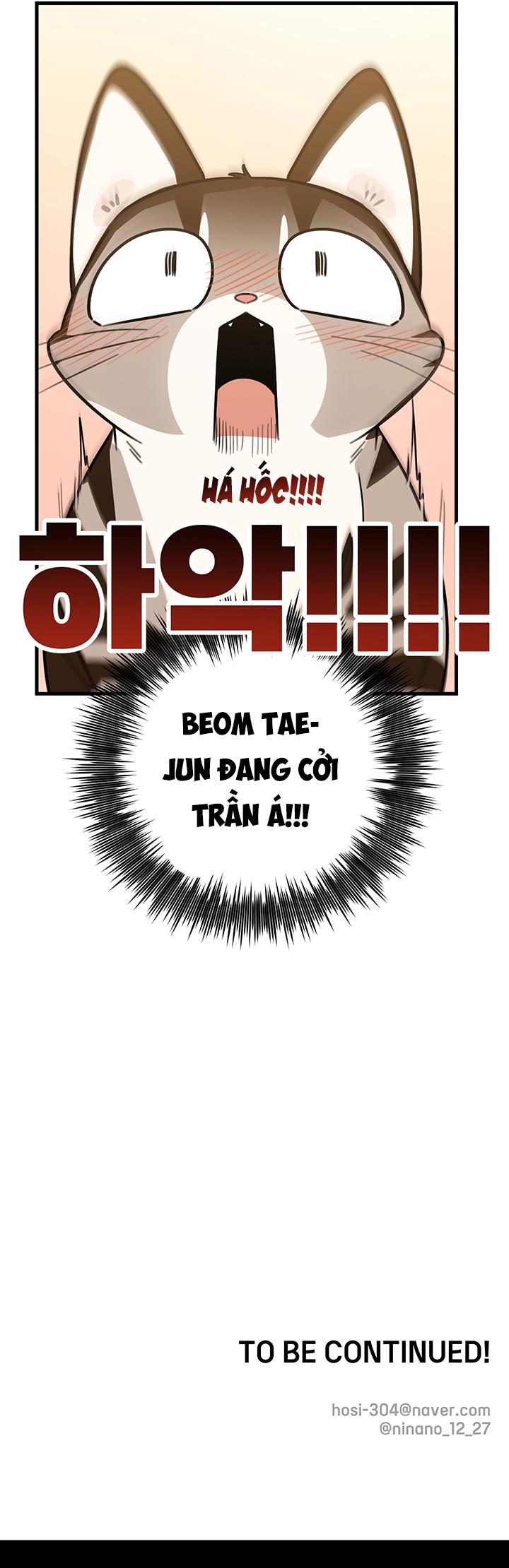 Đọc truyện (Daisy) Sinh mèo con cho tôi mau trước khi thằng này điên lên - Chapter 2