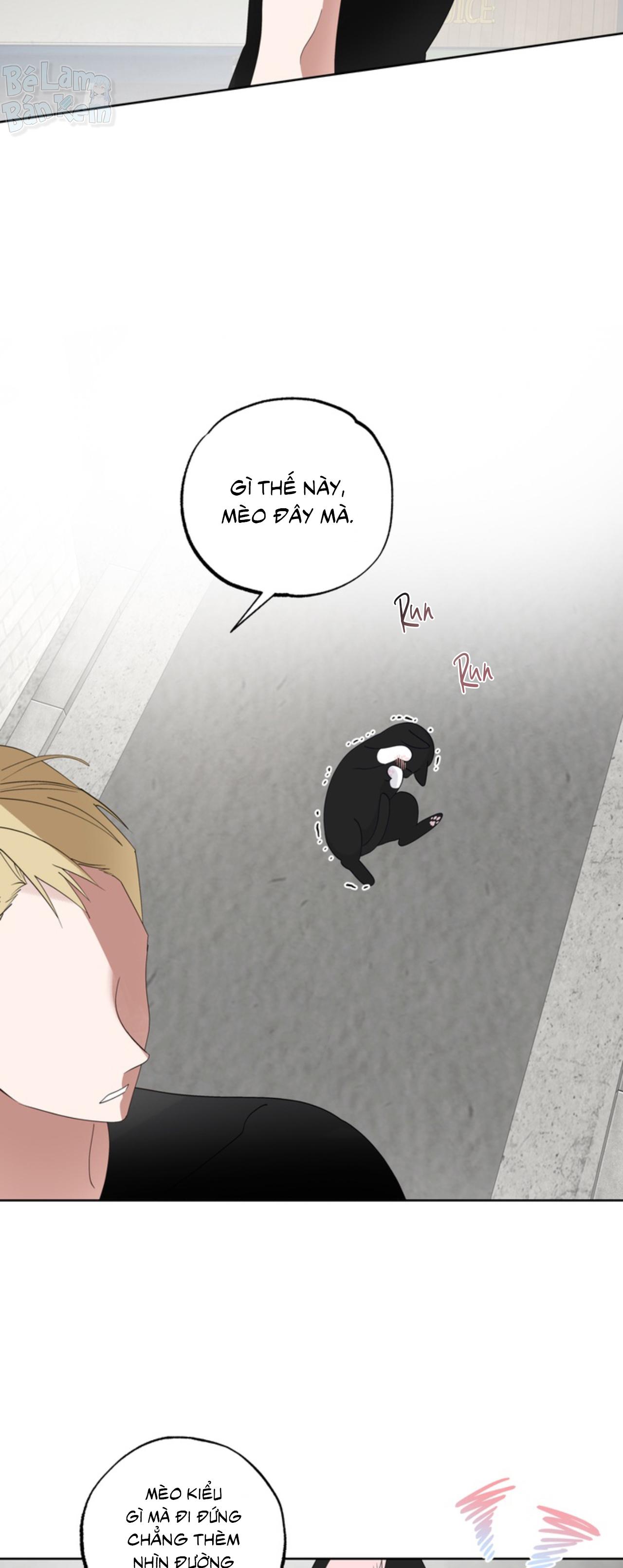 Đọc truyện XIN HÃY YÊU THƯƠNG DÙ TÔI LÀ CHUỘT - Chapter 6