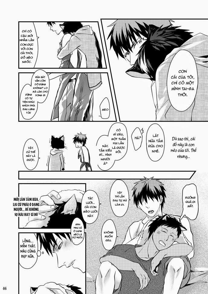 Đọc truyện Oneshot hỏny - Chapter 423