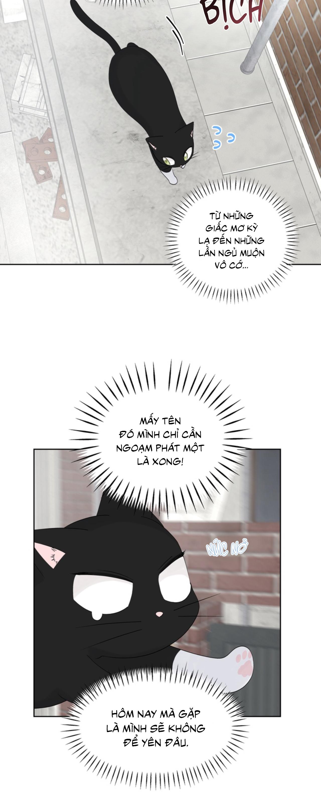 Đọc truyện XIN HÃY YÊU THƯƠNG DÙ TÔI LÀ CHUỘT - Chapter 6