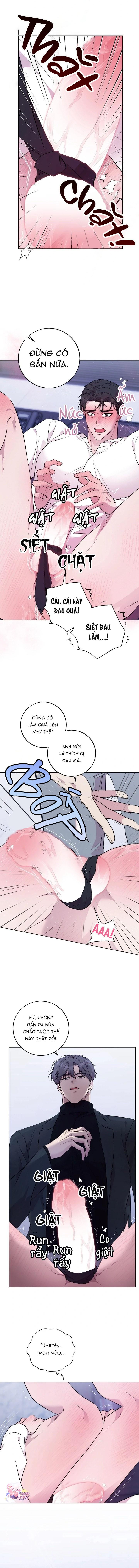 Đọc truyện Luận Văn Cơ Thể Của Giáo Sư - Chapter 7