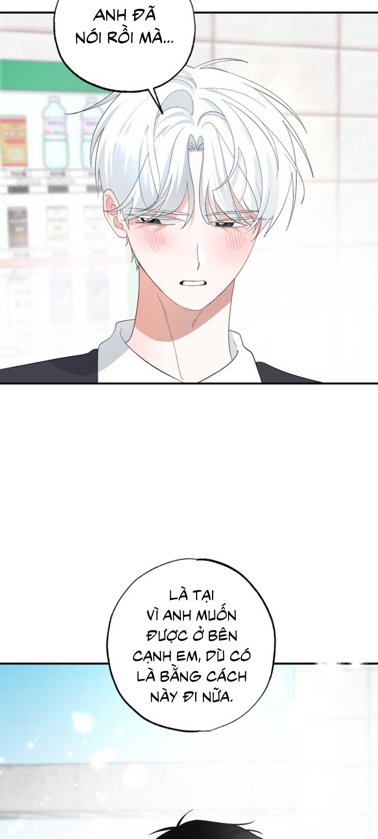 Đọc truyện XIN HÃY YÊU THƯƠNG DÙ TÔI LÀ CHUỘT - Chapter 4