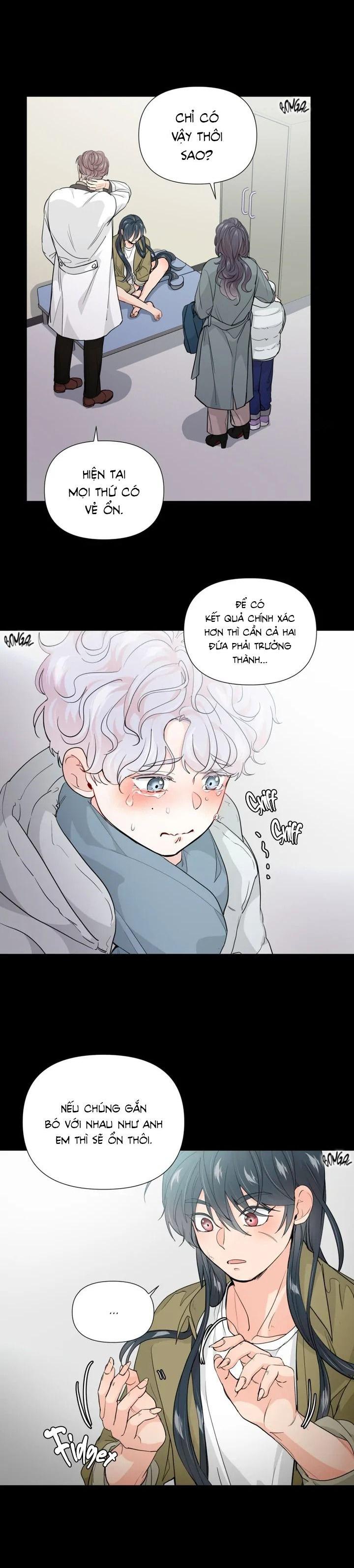 Đọc truyện BÁNH GẠO SINH NHẬT CỦA HỔ - Chapter 2