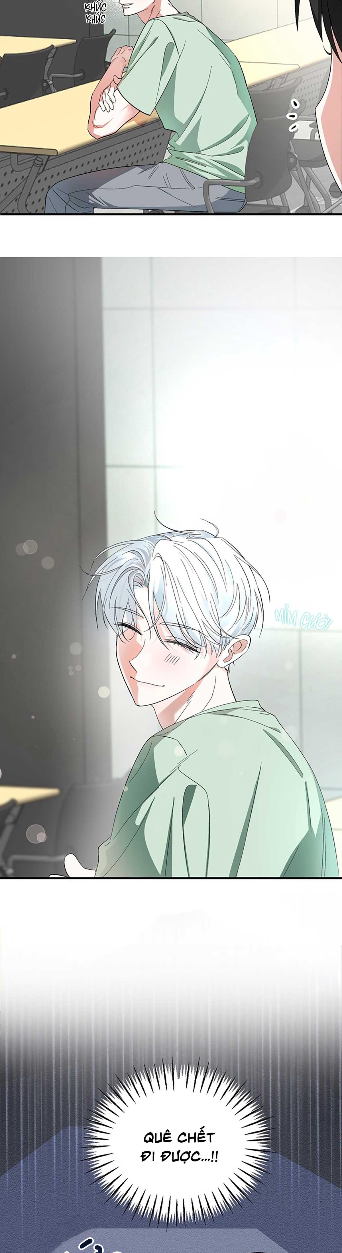 Đọc truyện XIN HÃY YÊU THƯƠNG DÙ TÔI LÀ CHUỘT - Chapter 1