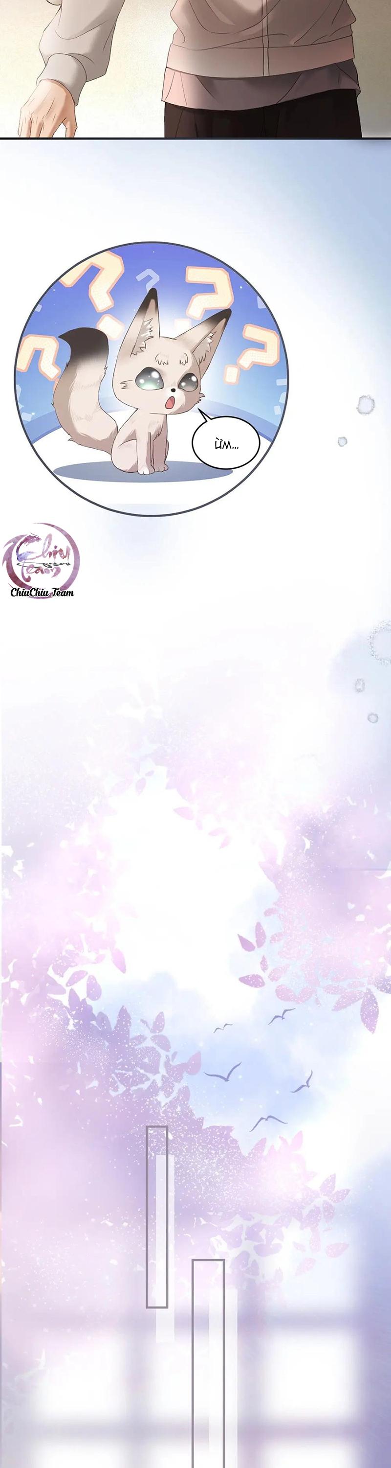 Đọc truyện Tiểu thiếu gia dựa vào nhan sắc càn quét toàn hệ thống - Chapter 75