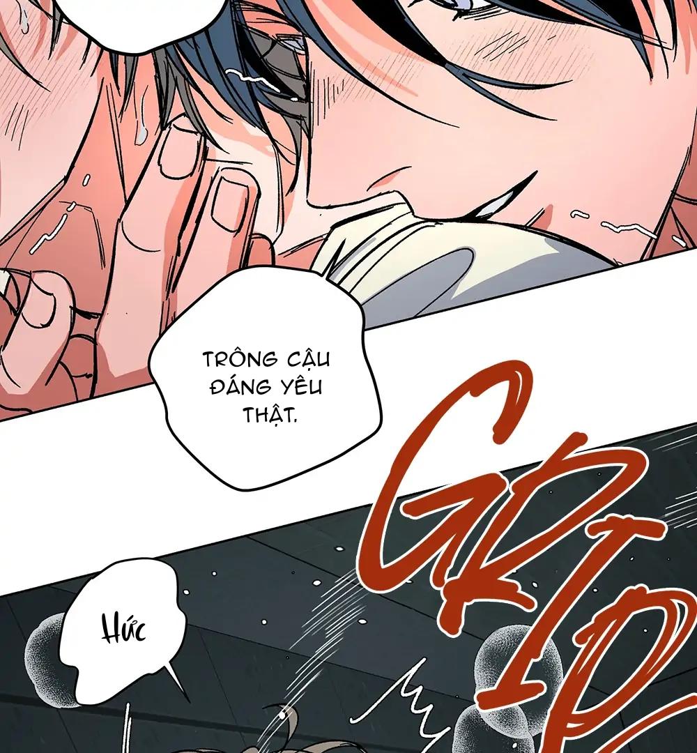 Đọc truyện Kế Hoạch Trốn Thoát - Chapter 5