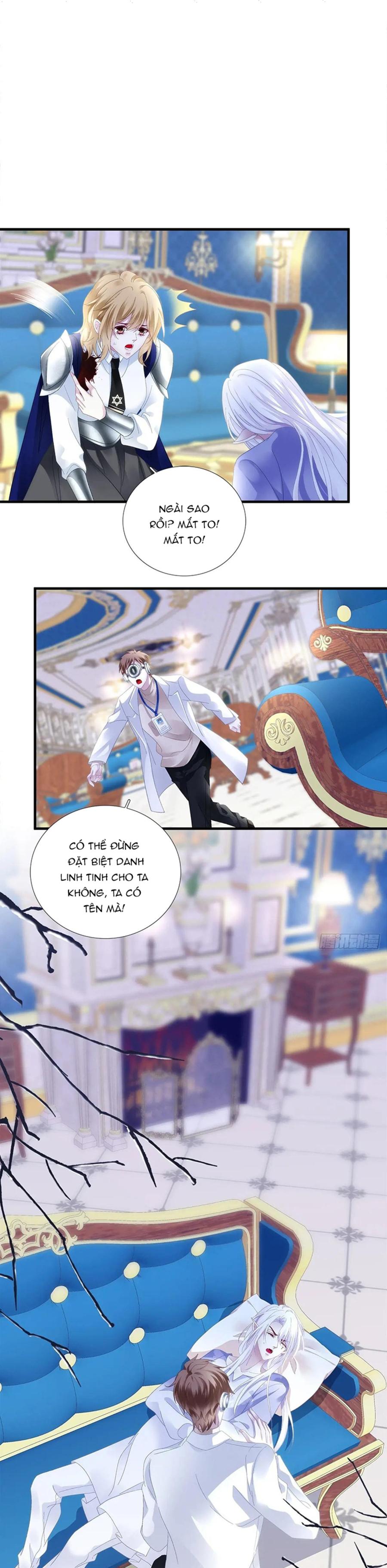 Thánh Tâm không dễ chọc -  - Trang 1