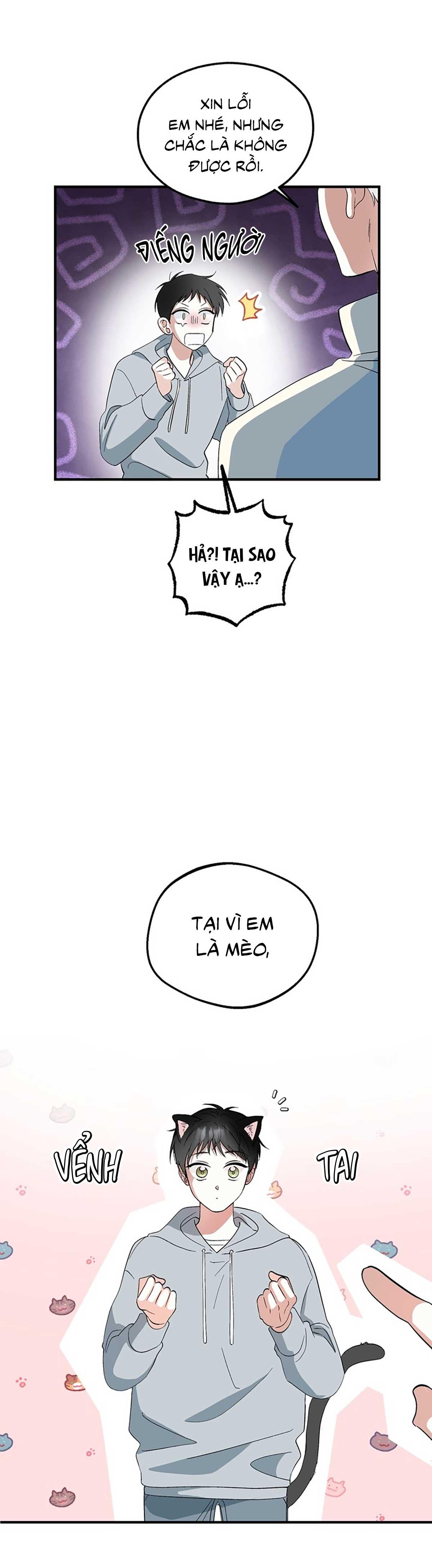 Đọc truyện XIN HÃY YÊU THƯƠNG DÙ TÔI LÀ CHUỘT - Chapter 1