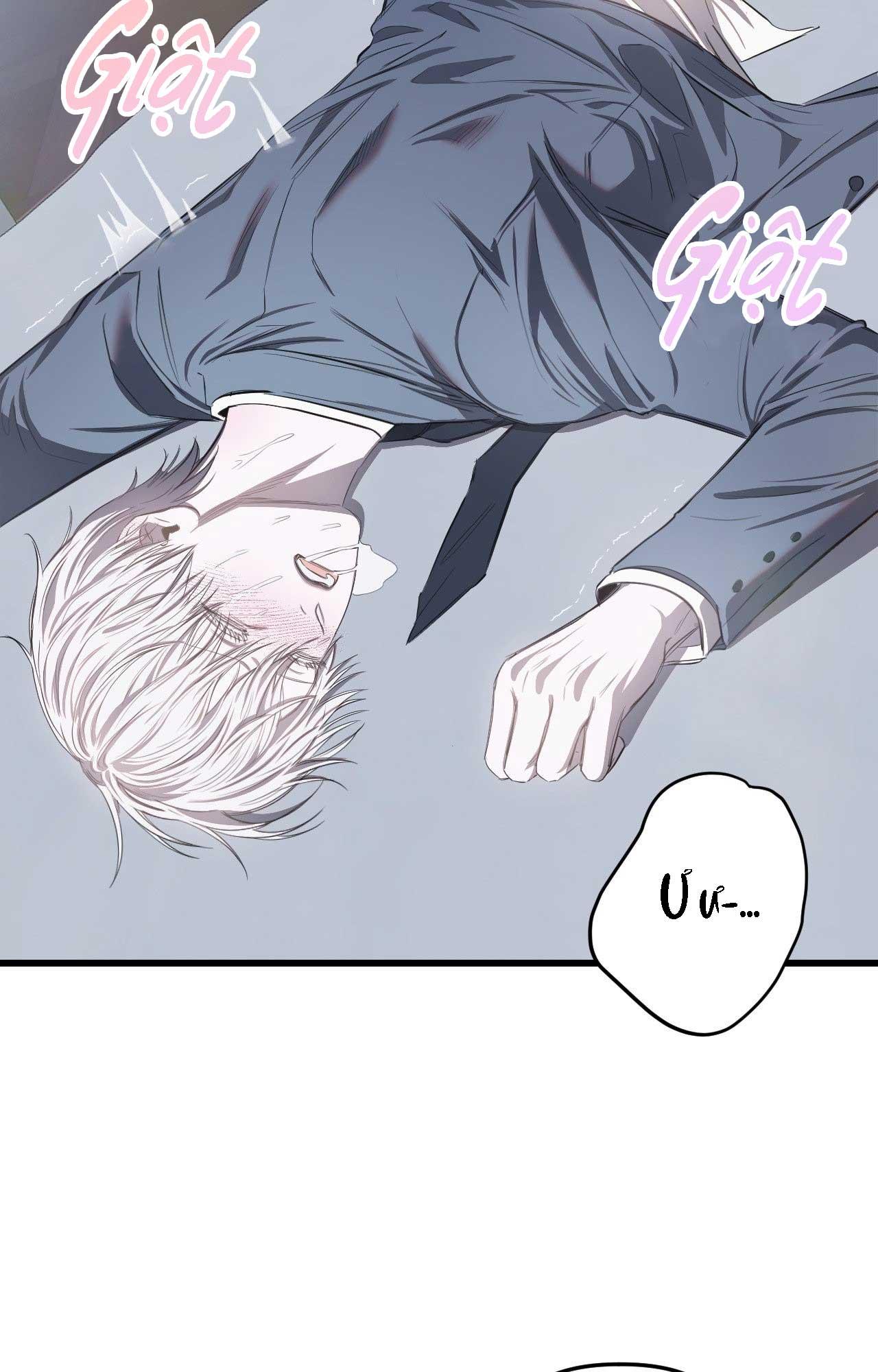 Đọc truyện (ABO) VẬT TẾ THẦN - Chapter 12