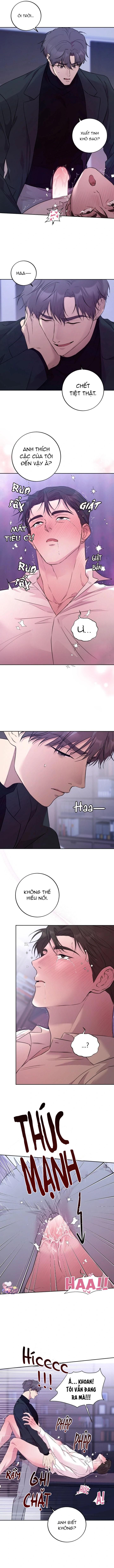 Đọc truyện Luận Văn Cơ Thể Của Giáo Sư - Chapter 7
