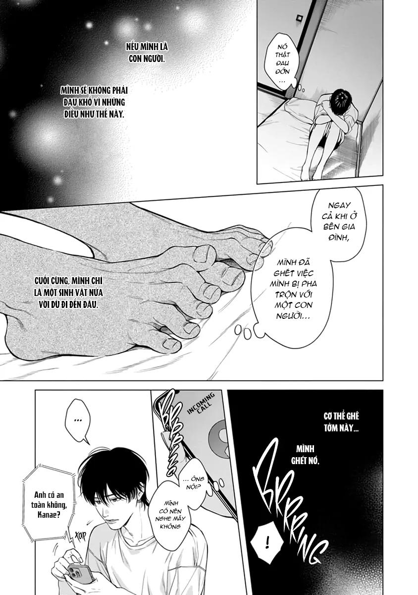 Đọc truyện Garnet Giữa Đống Hoang Tàn - Chapter 5