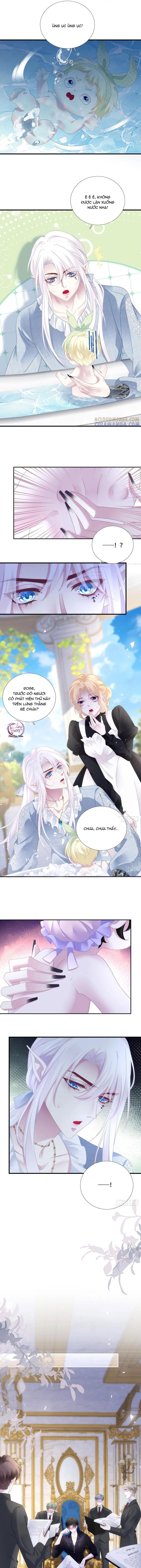Đọc truyện Thánh Tâm không dễ chọc - Chapter 95