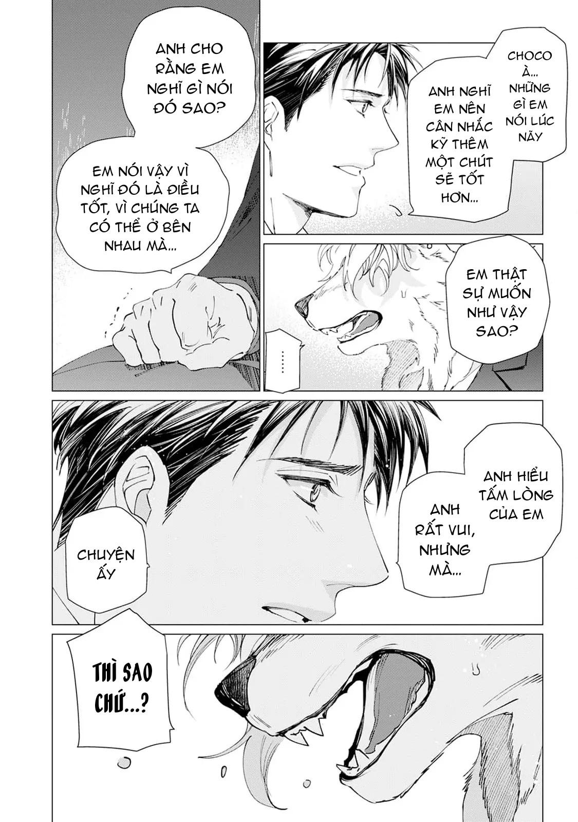 Đọc truyện Bánh Quy Nhân Socola - Chapter 5