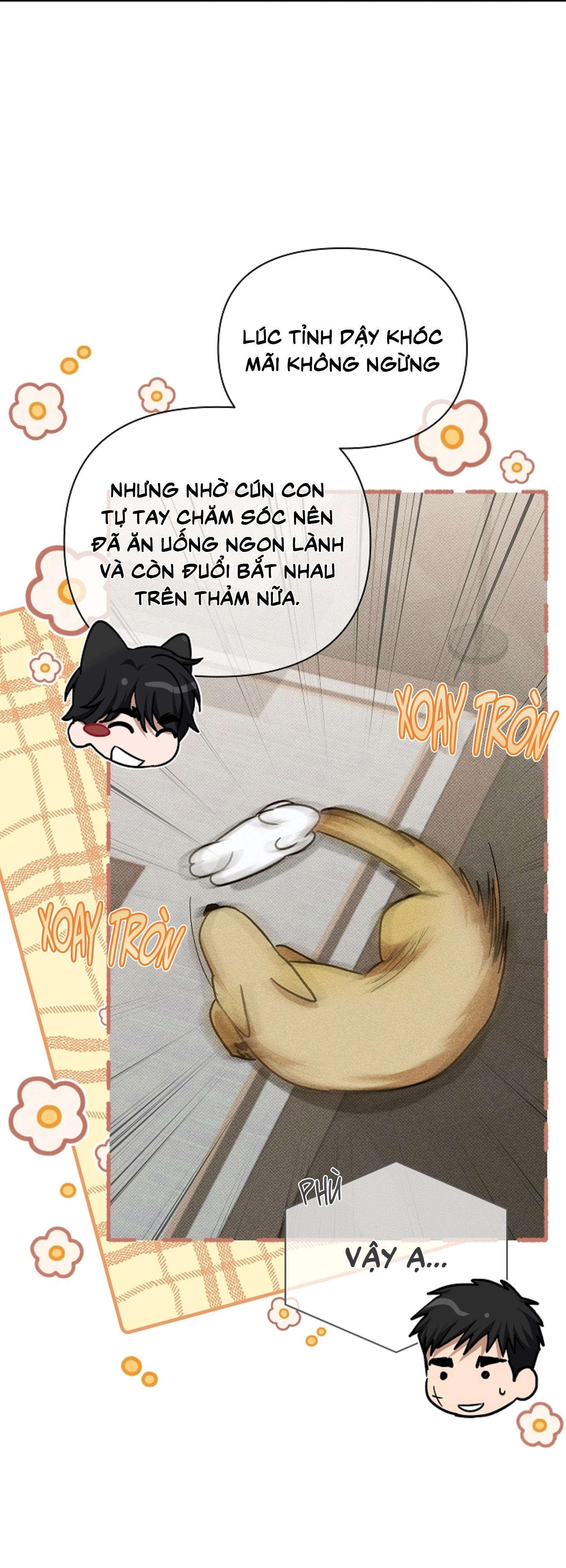 Đọc truyện ĐỪNG ĐỘNG VÀO CÚN CON! - Chapter 44.05