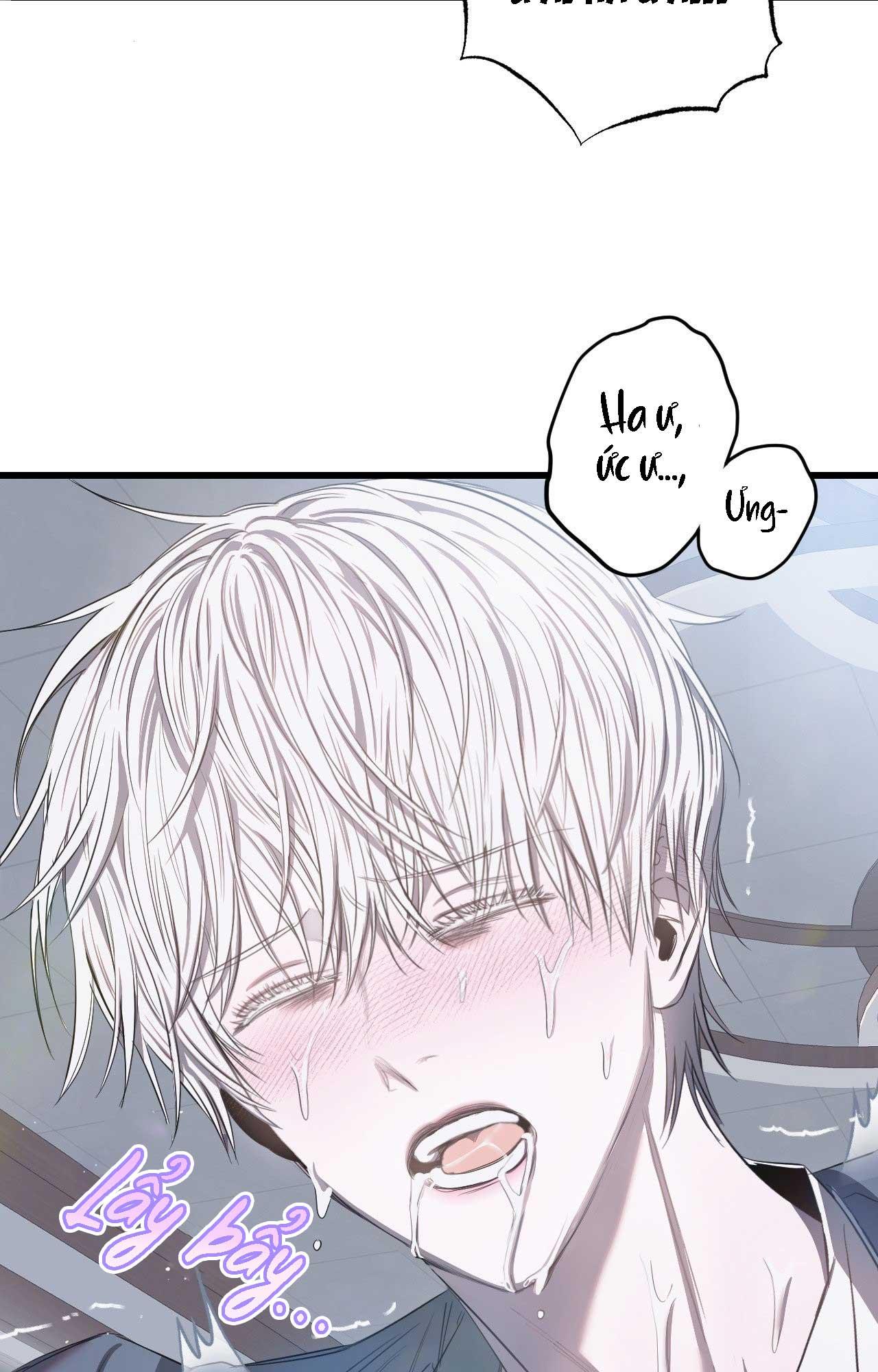 Đọc truyện (ABO) VẬT TẾ THẦN - Chapter 12