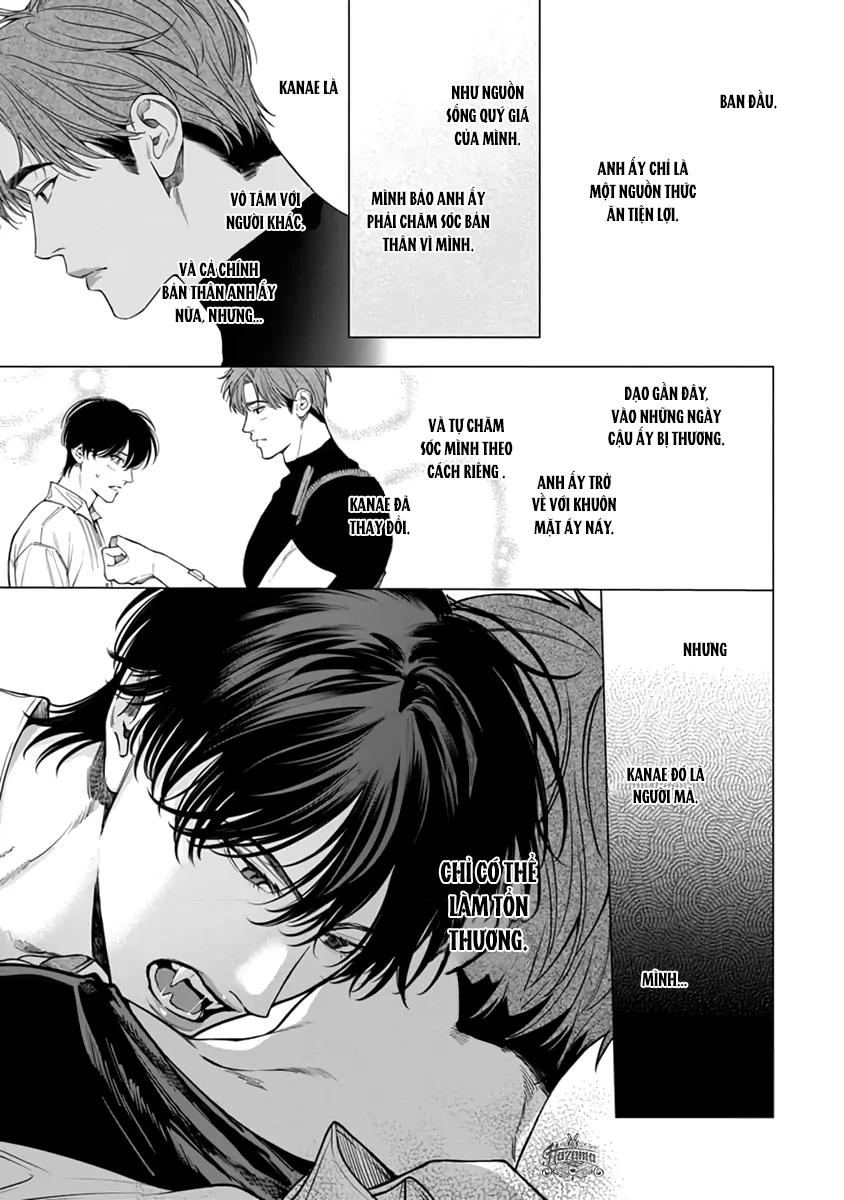 Đọc truyện Garnet Giữa Đống Hoang Tàn - Chapter 5