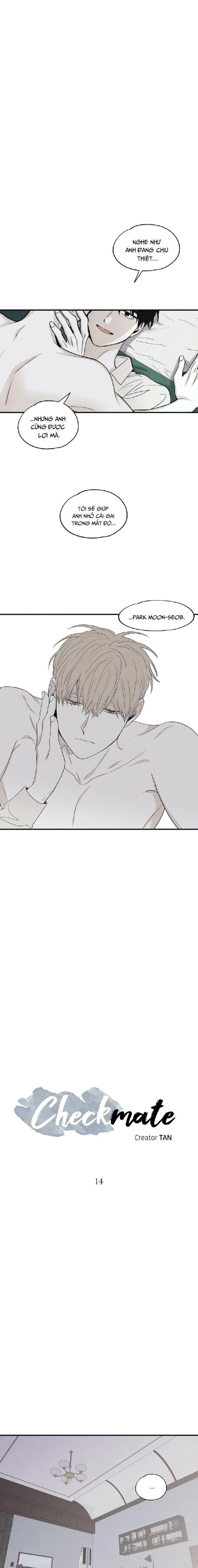 Đọc truyện Chiếu tướng - Chapter 14