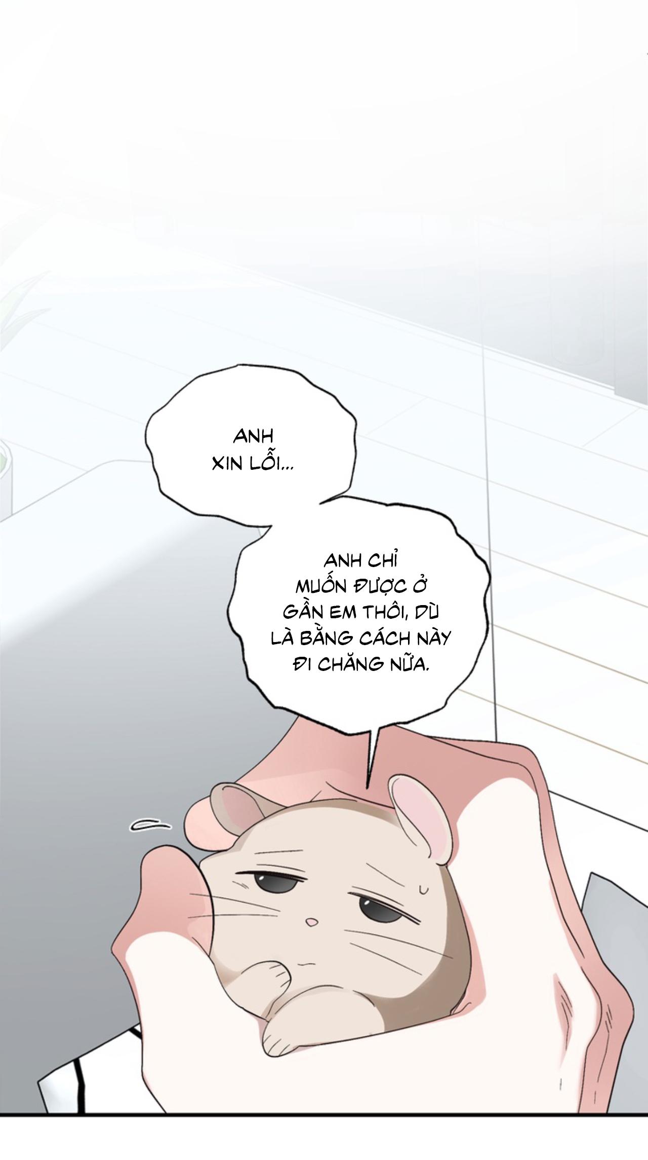 Đọc truyện XIN HÃY YÊU THƯƠNG DÙ TÔI LÀ CHUỘT - Chapter 3