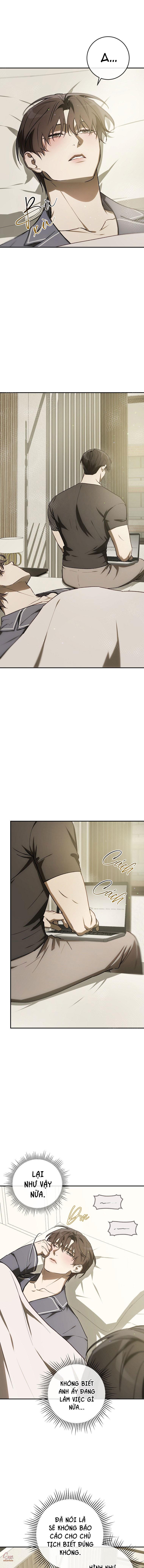 Đọc truyện BẢO VẬT - Chapter 31
