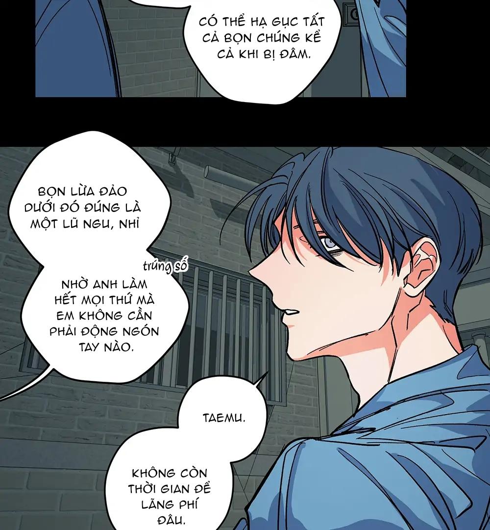 Đọc truyện Kế Hoạch Trốn Thoát - Chapter 5